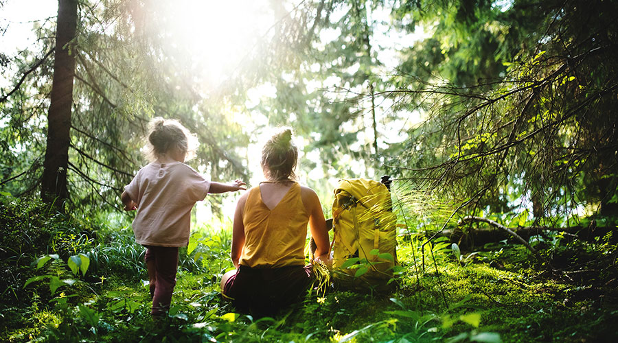 Chaudière-Appalaches : 5 lieux de randonnée