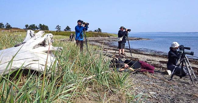 Parc naturel et historique de l'Île-aux-Basques