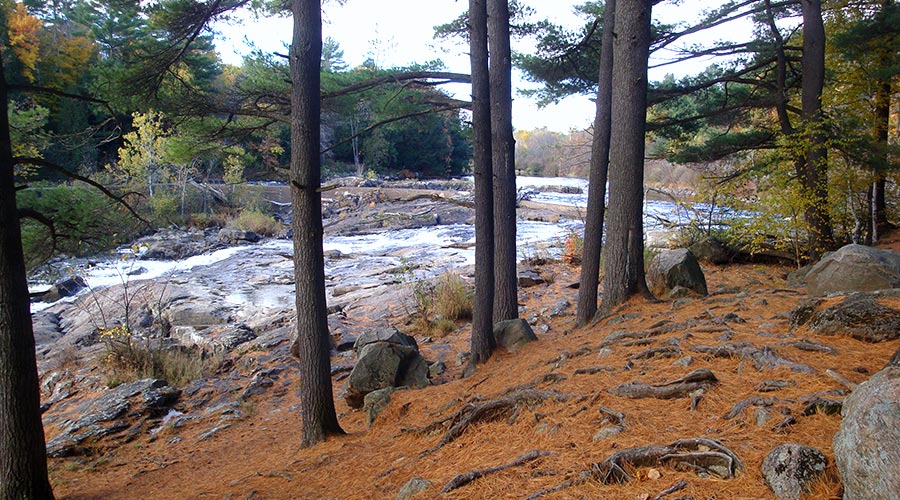 Sentiers pédestres dans les Laurentides