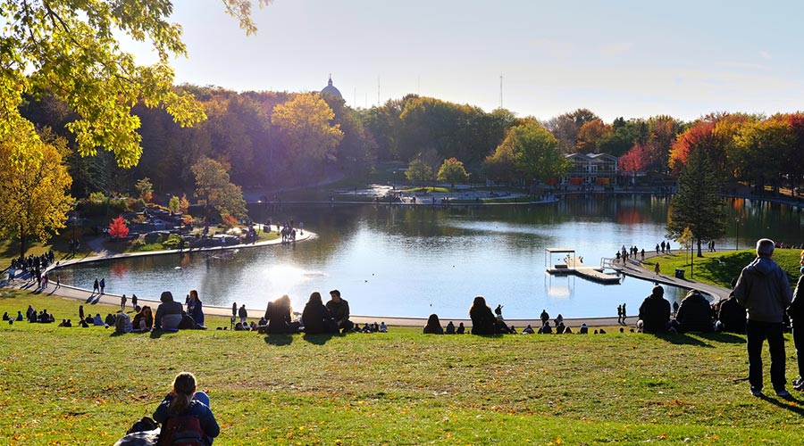 Sentiers pédestres à Montréal