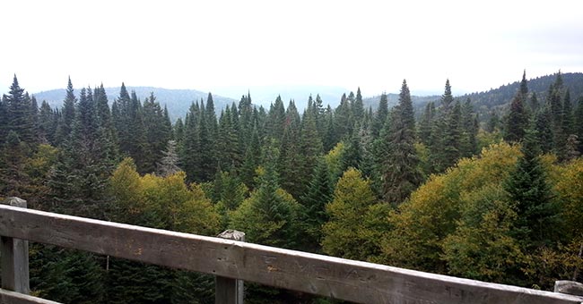 Belvédère du Liberator et sommet de la Montagne Noire