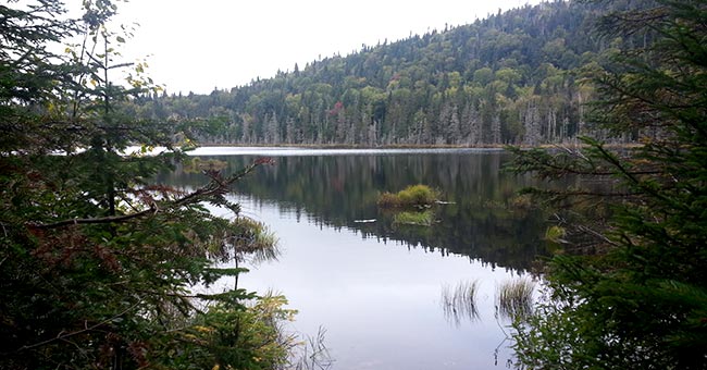 Belvédère du Liberator et sommet de la Montagne Noire