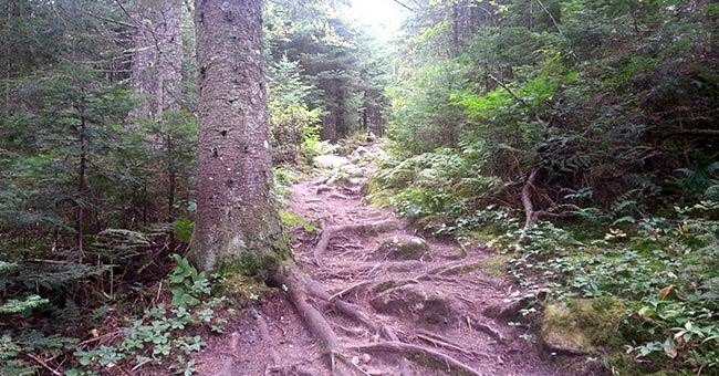 Belvédère du Liberator et sommet de la Montagne Noire
