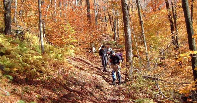 Festival d'automne du Mont Sutton