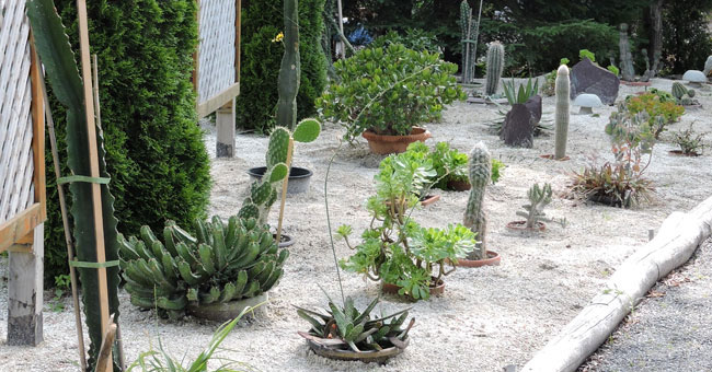 Les Jardins de Doris