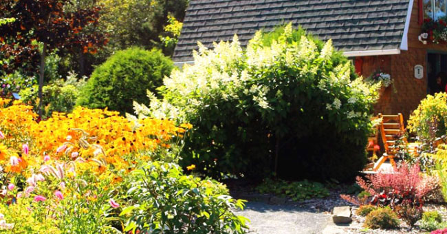 Les Jardins de Doris