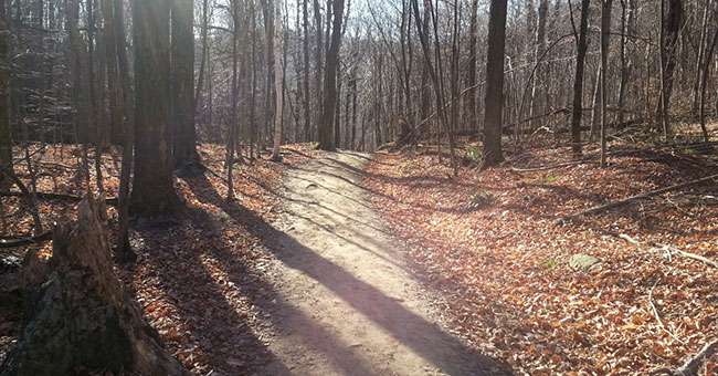 Réserve naturelle Gault (Mont Saint-Hilaire)