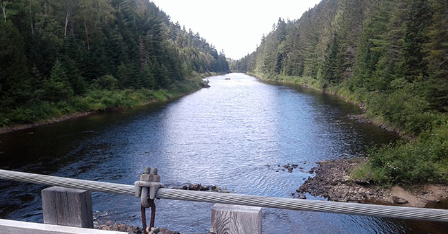Parc régional de la Forêt Ouareau