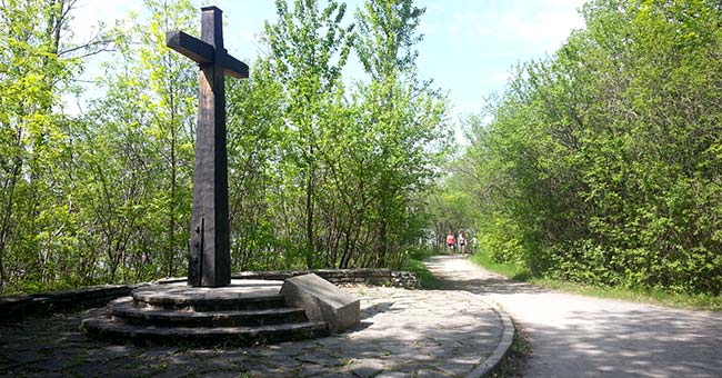 Parc-nature de l'Île-de-la-Visitation