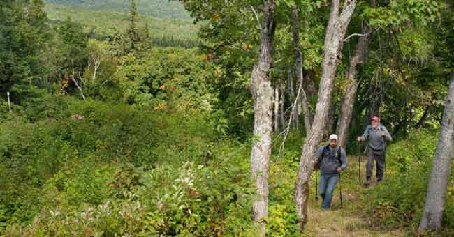 Parc régional Montagne du Diable