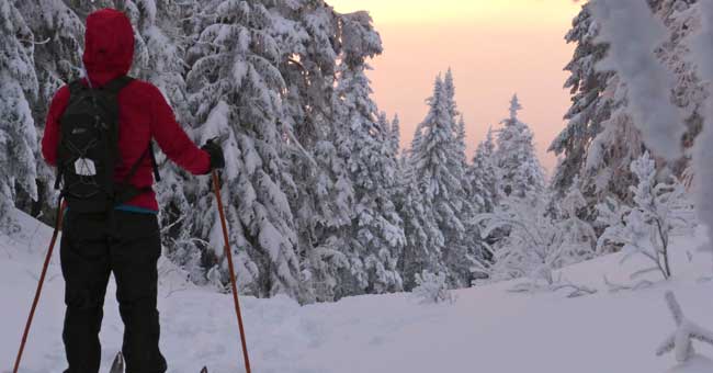 Parc régional Montagne du Diable
