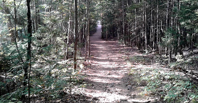 Parc national de la Mauricie