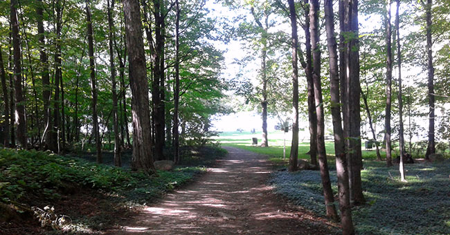 Parc-nature du Cap-Saint-Jacques