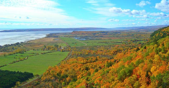 Réserve nationale de faune du cap Tourmente