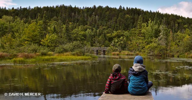 Réserve naturelle des Marais-du-Nord