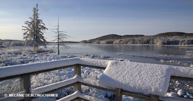 Réserve naturelle des Marais-du-Nord