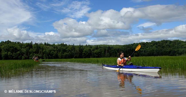 Réserve naturelle des Marais-du-Nord