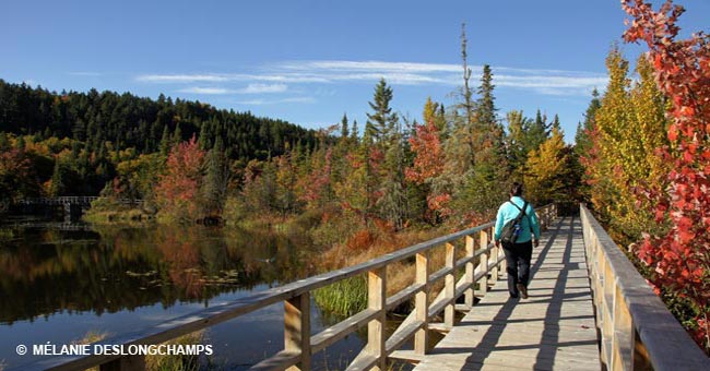Réserve naturelle des Marais-du-Nord