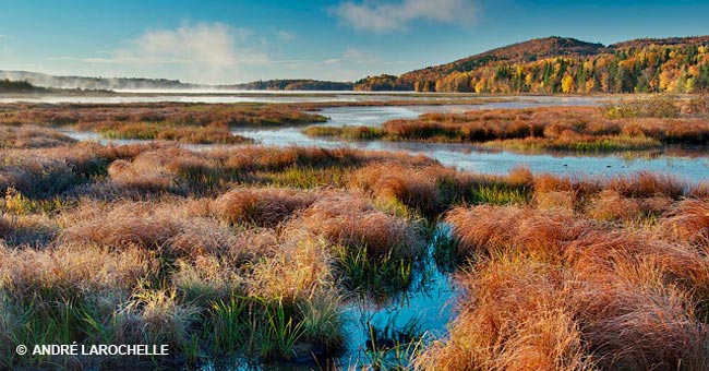 Réserve naturelle des Marais-du-Nord